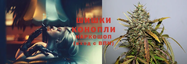 шишки Балахна