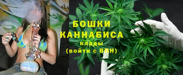 шишки Балабаново