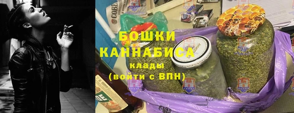 шишки Баксан