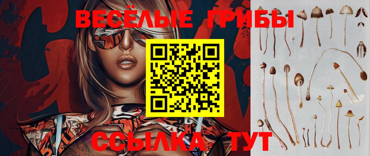 Галлюциногенные грибы Cubensis  Вход с VPN  Галлюциногенные грибы мухоморы  Кубинка 
